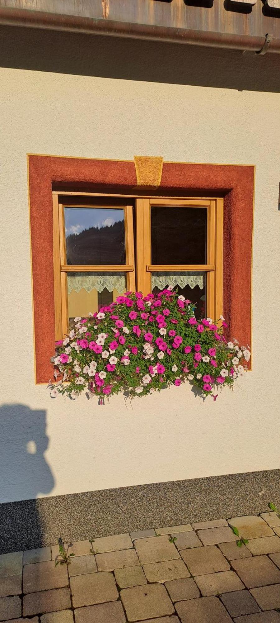Ferienwohnung Steinernes Meer Maria Alm am Steinernen Meer Exterior foto