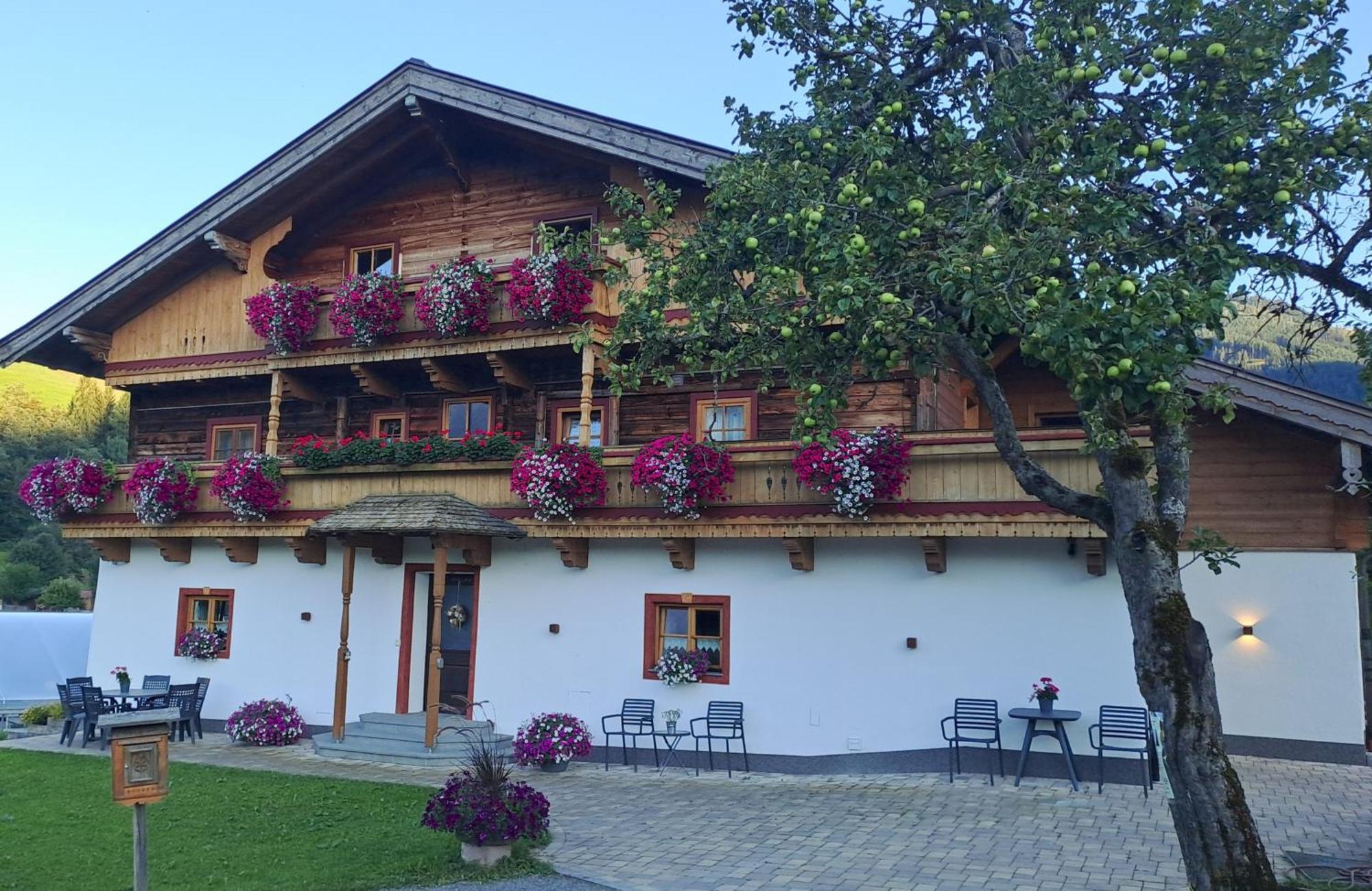 Ferienwohnung Steinernes Meer Maria Alm am Steinernen Meer Exterior foto